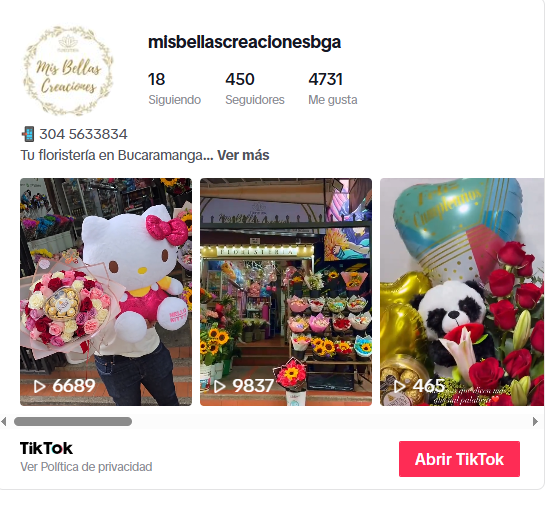 floristeriaMisBellasCreacionesTikTok